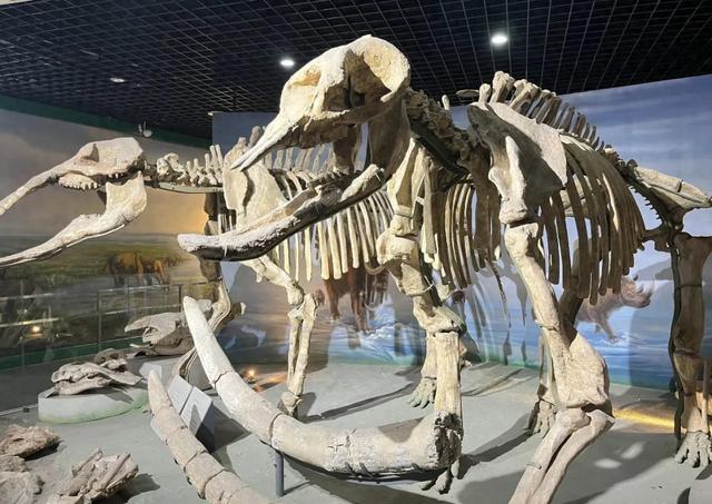 全部免费！郑州适合降温天遛娃的7个室内场馆→