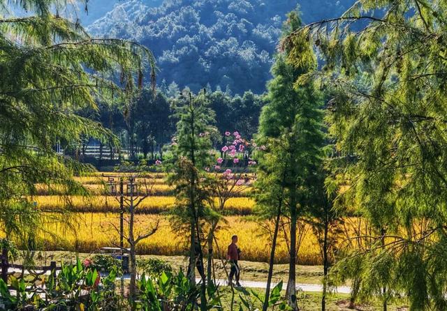 南山秋艳！云浮市民前来打卡→