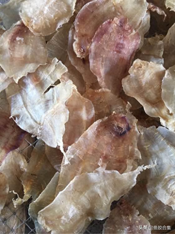 澳洲 花胶 2026年澳洲花胶液bioe喝半年后不喝