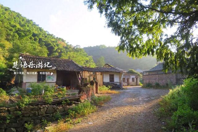 浙江宁波这处“仙境”也在升级改造，丛林茶座很美丽，是休闲胜地