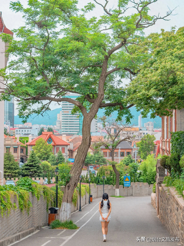 【乐游烟台】迄今为止，烟台我最爱的citywalk路线出现了