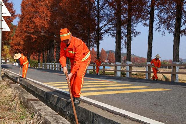 福建武夷山：匠心守护赏景之路