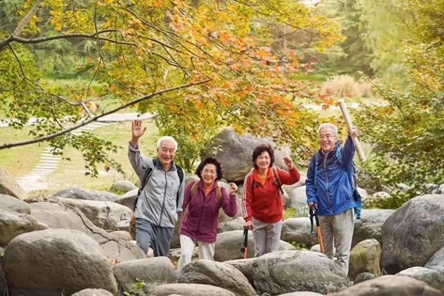 太姥山有电梯，泰山有机器人！银发旅游带动消费，60岁玩出新人生