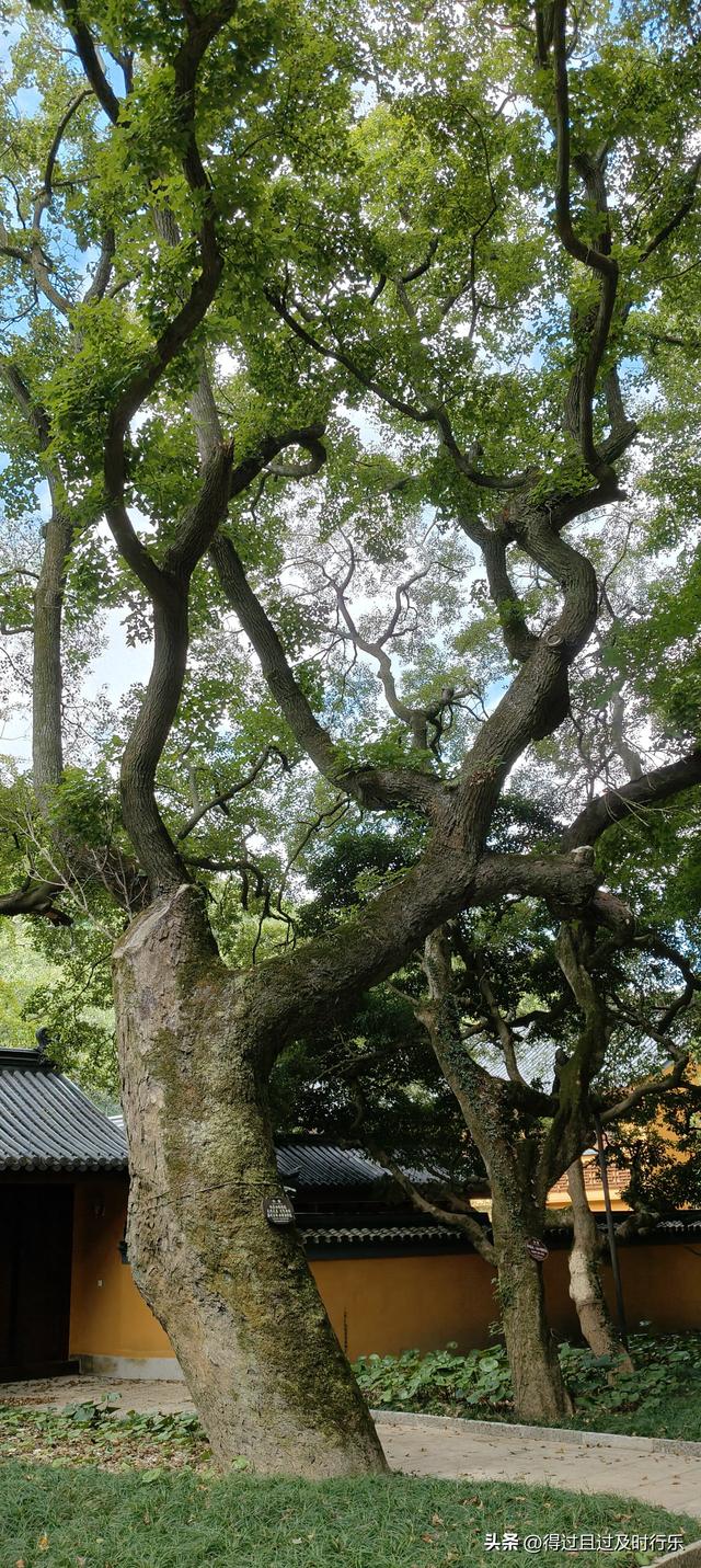舟山游记-02普陀山听梵音闻香火