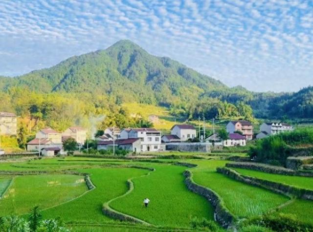 高山稻语：太湖县北中镇将军村的夏日晨昏