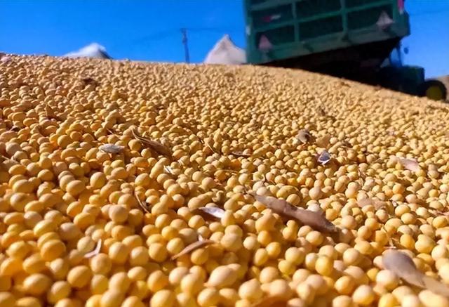 贪心砸了饭碗？巴西硬抬价，中国 130 万吨大豆订单瞬间流向阿根廷