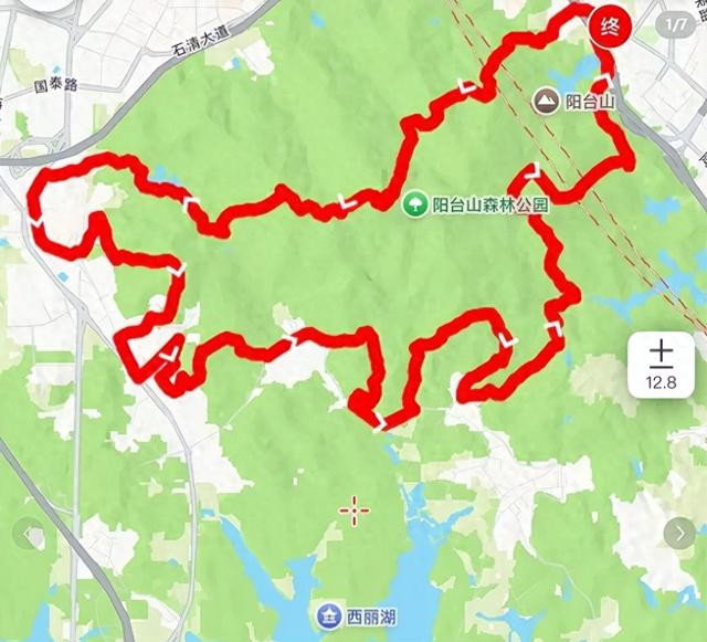 深圳惊现各种“马”？网友：太会玩了，求加入