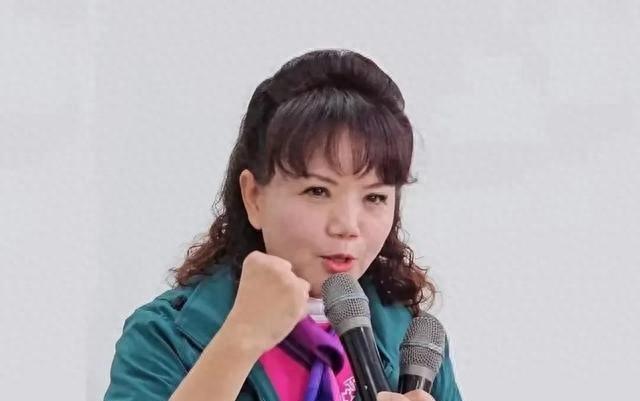 713罢绿失败原因曝光，馆长道歉，黄智贤无地自容，赖清德摊上事
