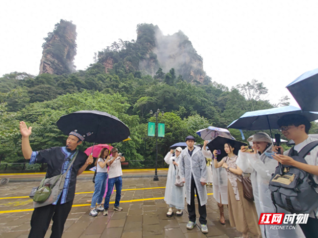 20名重庆网络达人打卡张家界国家森林公园