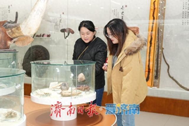 在济南市中医药文化博物馆，对话千年本草智慧