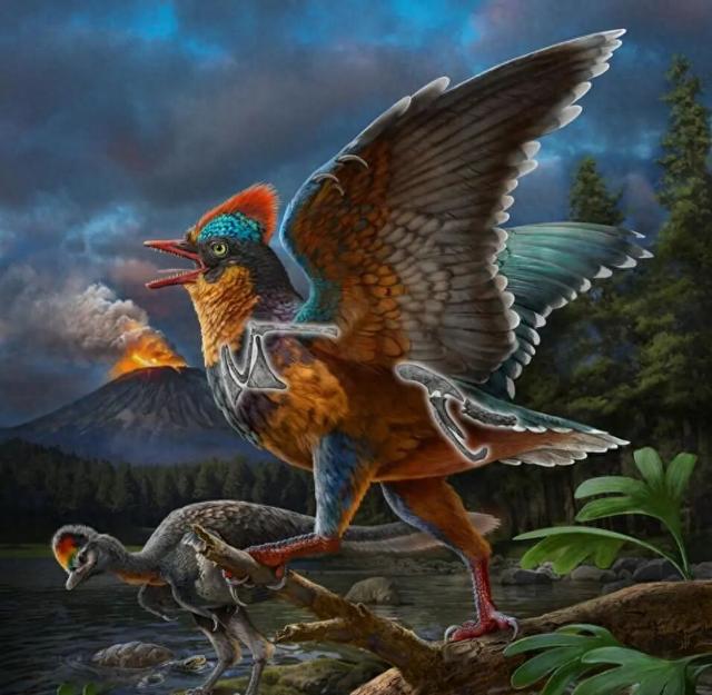 改写生命演化史！2025我国古生物学研究在多领域取得突破 | 新华社