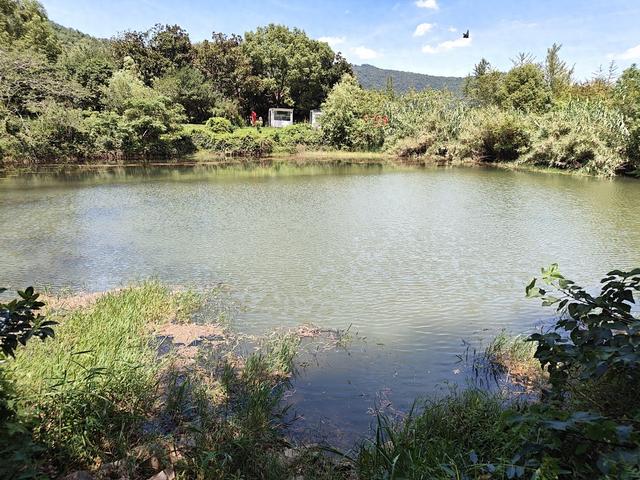 苏州山峦间的翡翠葫芦池，仙人泼洒出的奇景！