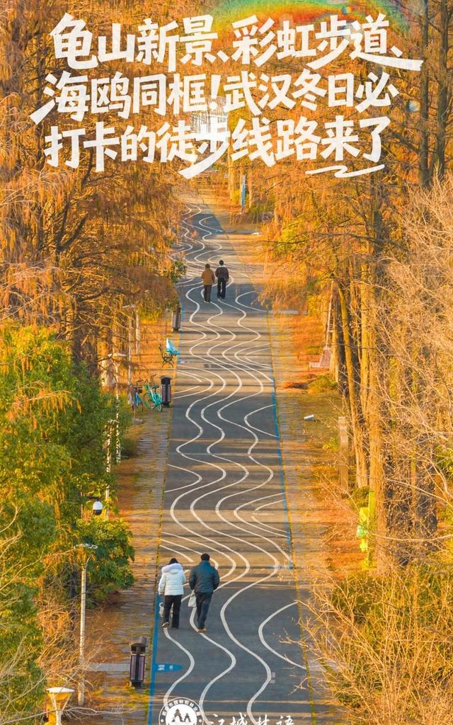 武汉冬日三大秘境徒步路线曝光：知音殿重启，红嘴鸥“打卡”东湖