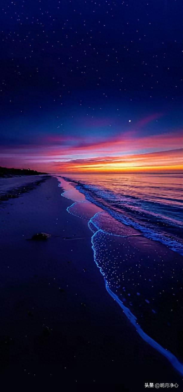 最有意境的壁纸美图