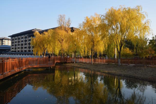 组图丨初冬临武威 飞燕湖静美