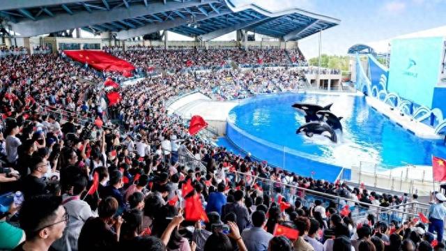 让游客拐角遇到戏，上海海昌海洋公园打造“沪上最长节目单”