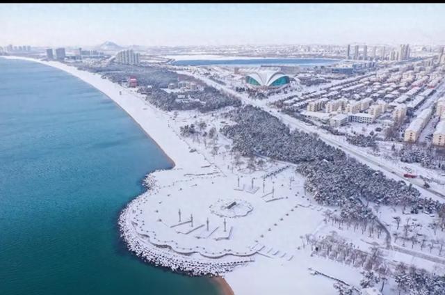 大海.雪花.海鸥四川游客称赞威海美爆了