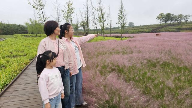 淄川南部森林公园：家门口的“粉色浪漫”
