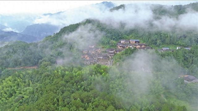 蕉城虎贝黄柏村：酒香纸影里的千年古村