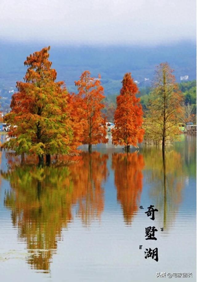 11月必冲！皖南82公里自驾线，承包安徽最绝秋色