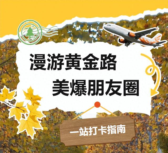 不用去南京，长沙也藏着 “梧桐秘境”！遛娃拍照美到窒息！