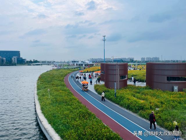 杭州超绝“波斯菊花海”来了，拍照遛娃露营齐全，地铁直达且免费