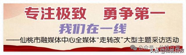 沙原渔村：好风景与好生活共“生长”