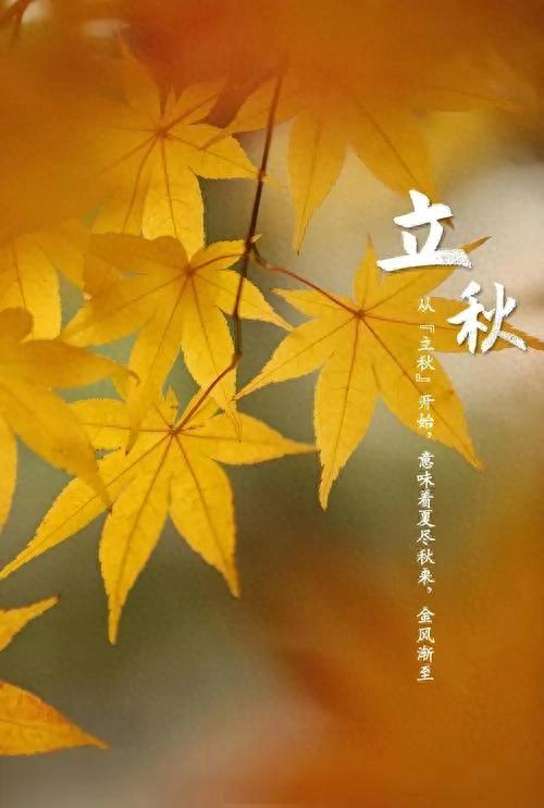 不是玄学！今日13时立秋，“最旺”自己的5件事，别忘了告诉家人