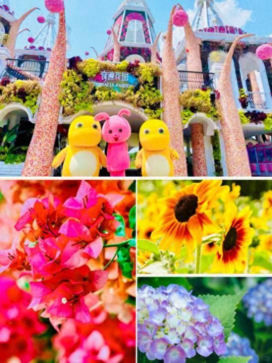 花展、市集、夜游 带你解锁沪上郊野公园的快乐