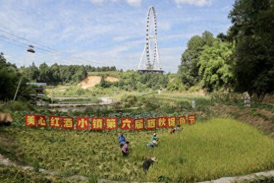 重庆涪陵：多元业态矩阵  打造文旅融合新图景