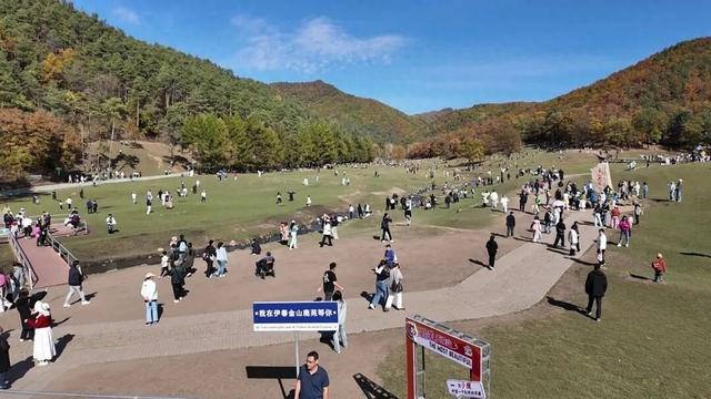 观“五花山”色 享生态康养｜伊春，藏不住了！“林都红”火爆出圈，景区人气爆棚！