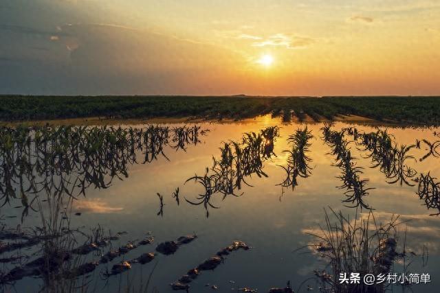 明日九月初一不一般,老人说"大雪来不来,就看九月初一",今冬大雪?