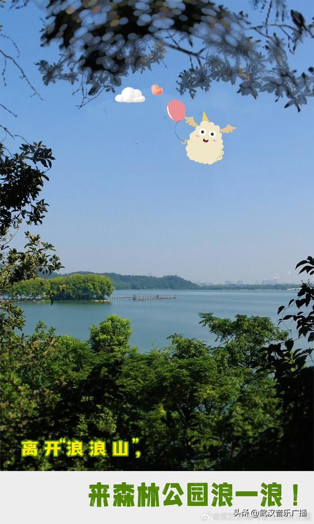 我要离开“浪浪山”！来森林公园浪一浪！