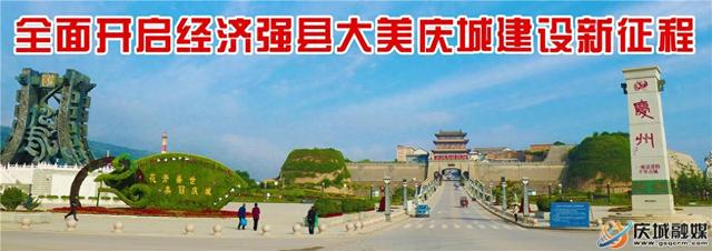 庆阳网站优化（庆阳市优化营商环境千名干部帮千企工作方案）