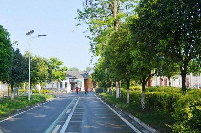 9000亩串联成片！郫都宝藏公园藏不住了→