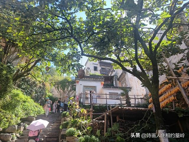 也说婺源东线旅游