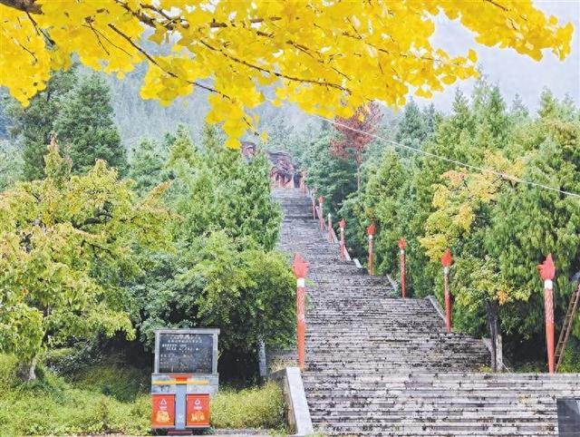 会泽风霜劲 扩红基地美