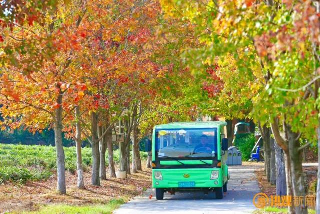 来南昌，打卡秋日限定 “枫” 景！