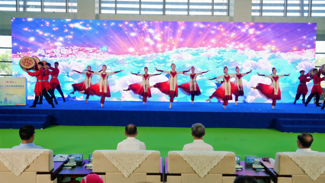 2025山东文旅消费博览会暨海峡两岸（滨州）孙子文化旅游嘉年华在滨州绚丽启幕
