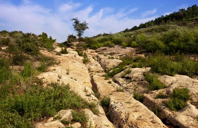 文化遗产耀中原|探访丝绸之路唯一的“道路遗址”