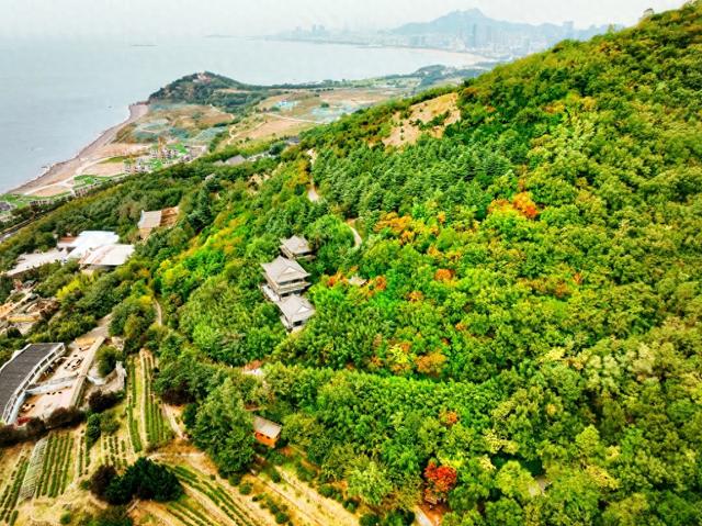 山海一画秋意浓