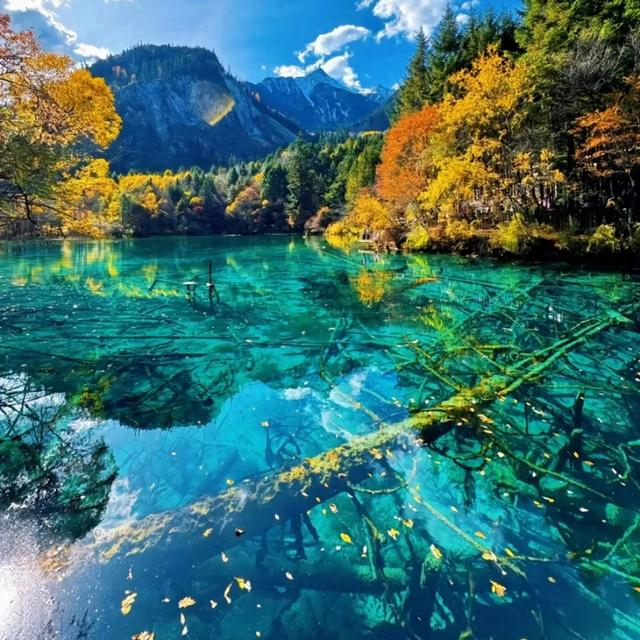江阴站⇆避暑胜地，直达！