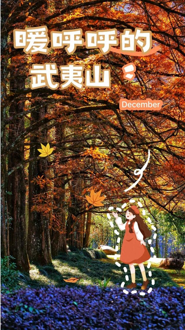 武夷山 | 我就说，这才是过日子~