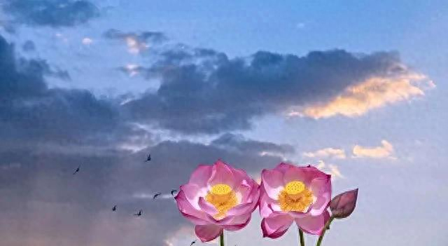 男人准备离婚前的举动（男人真的想和你离婚）