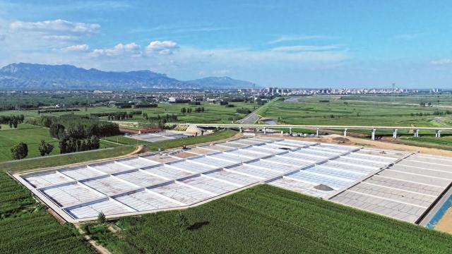 汾河流域稷山段污水处理厂尾水人工湿地水质净化工程正在加紧施工