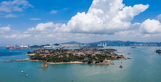 为什么是厦门？