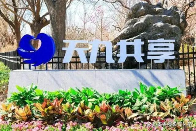 天九共享集团主要是做什么的（天九共享集团是做什么的）
