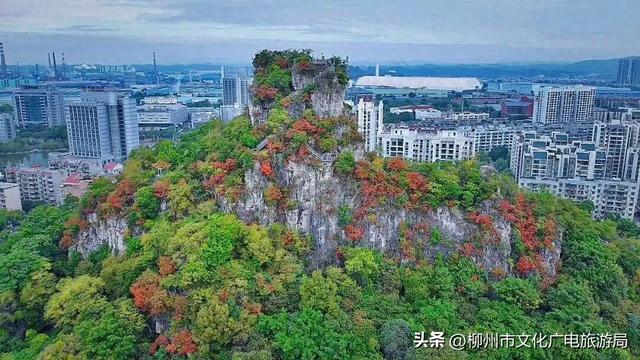 悬崖之上，红韵沸腾！雀儿山进入高光时刻