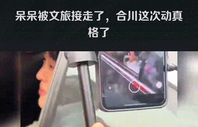 文旅接走呆呆：喧哗中的沉默与微光