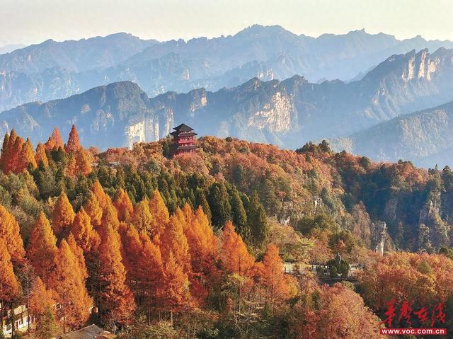 初冬揽胜天子山